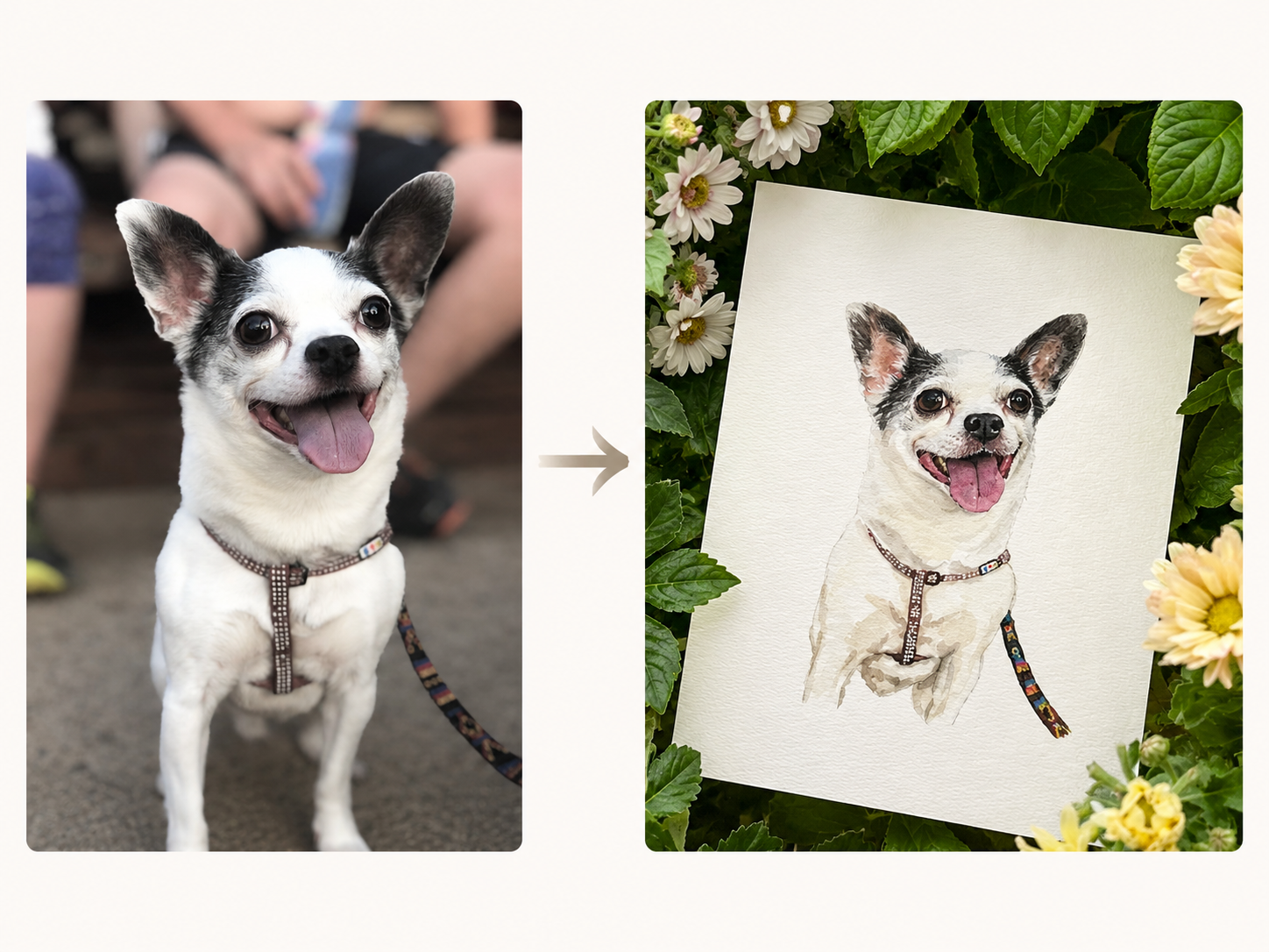 A pet reference photo beside its finished hand-painted watercolor portrait
