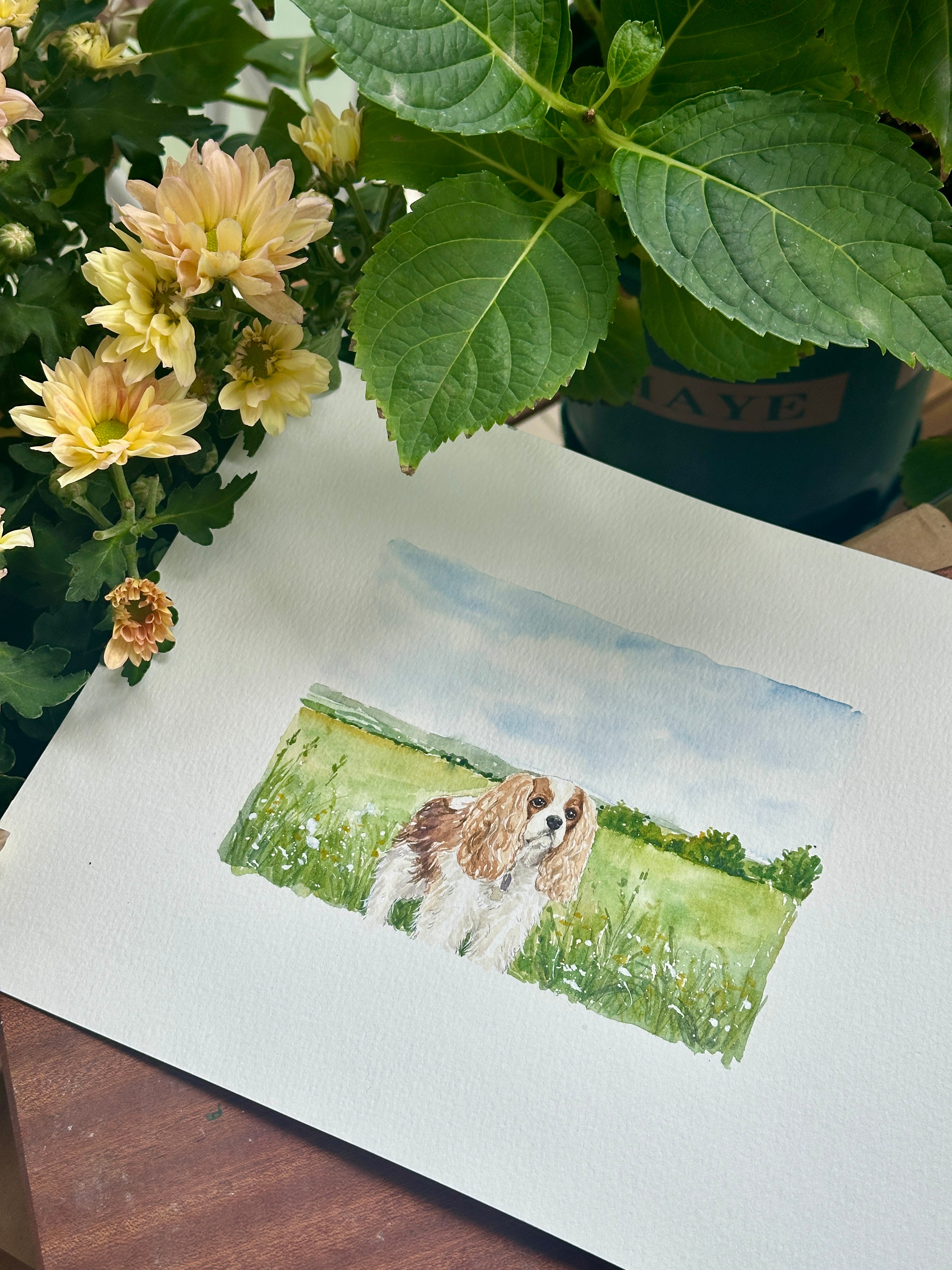 Cavalier watercolor pet portrait in a green meadow