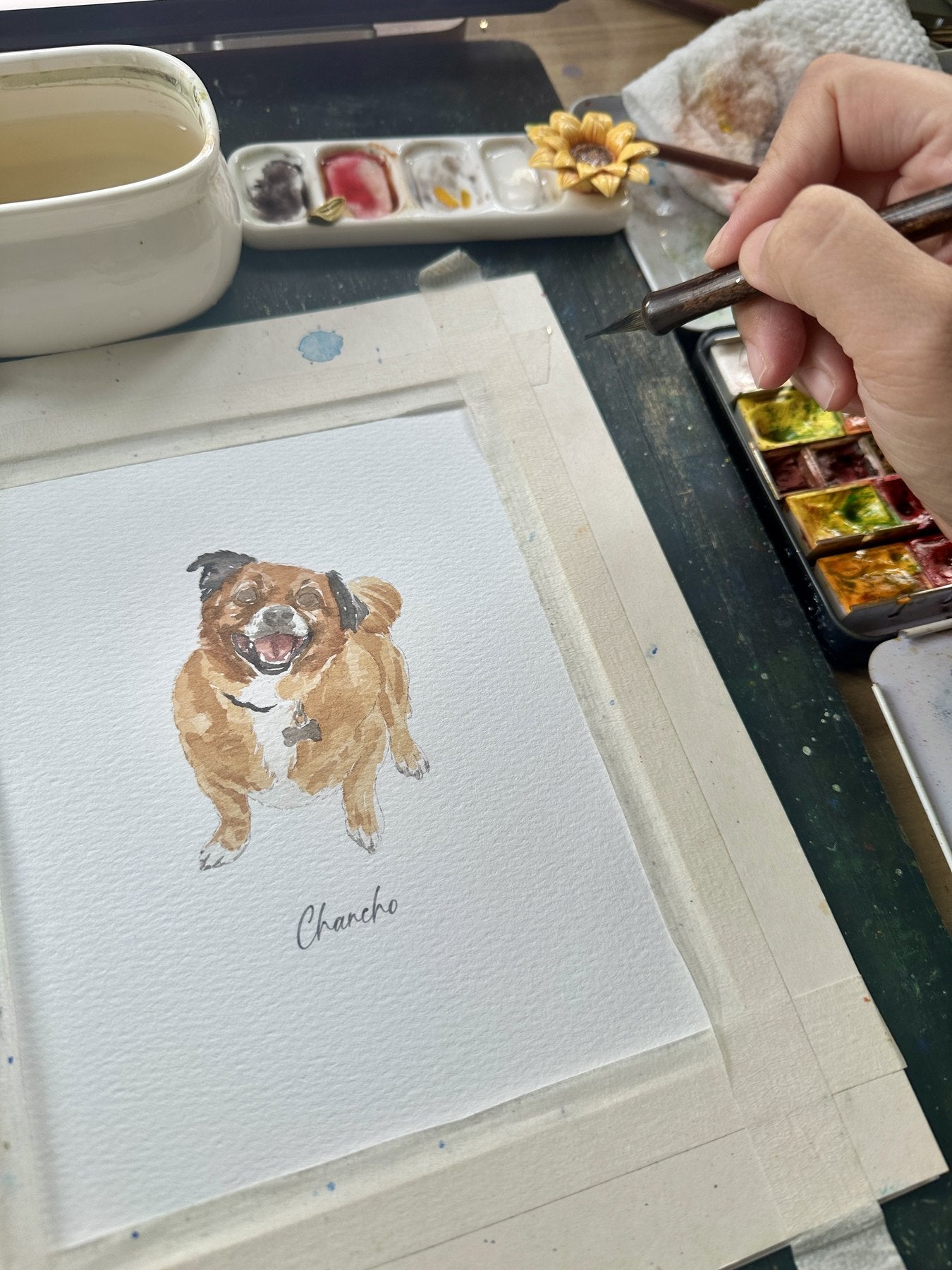 Chancho dog portrait taking shape in warm watercolor
