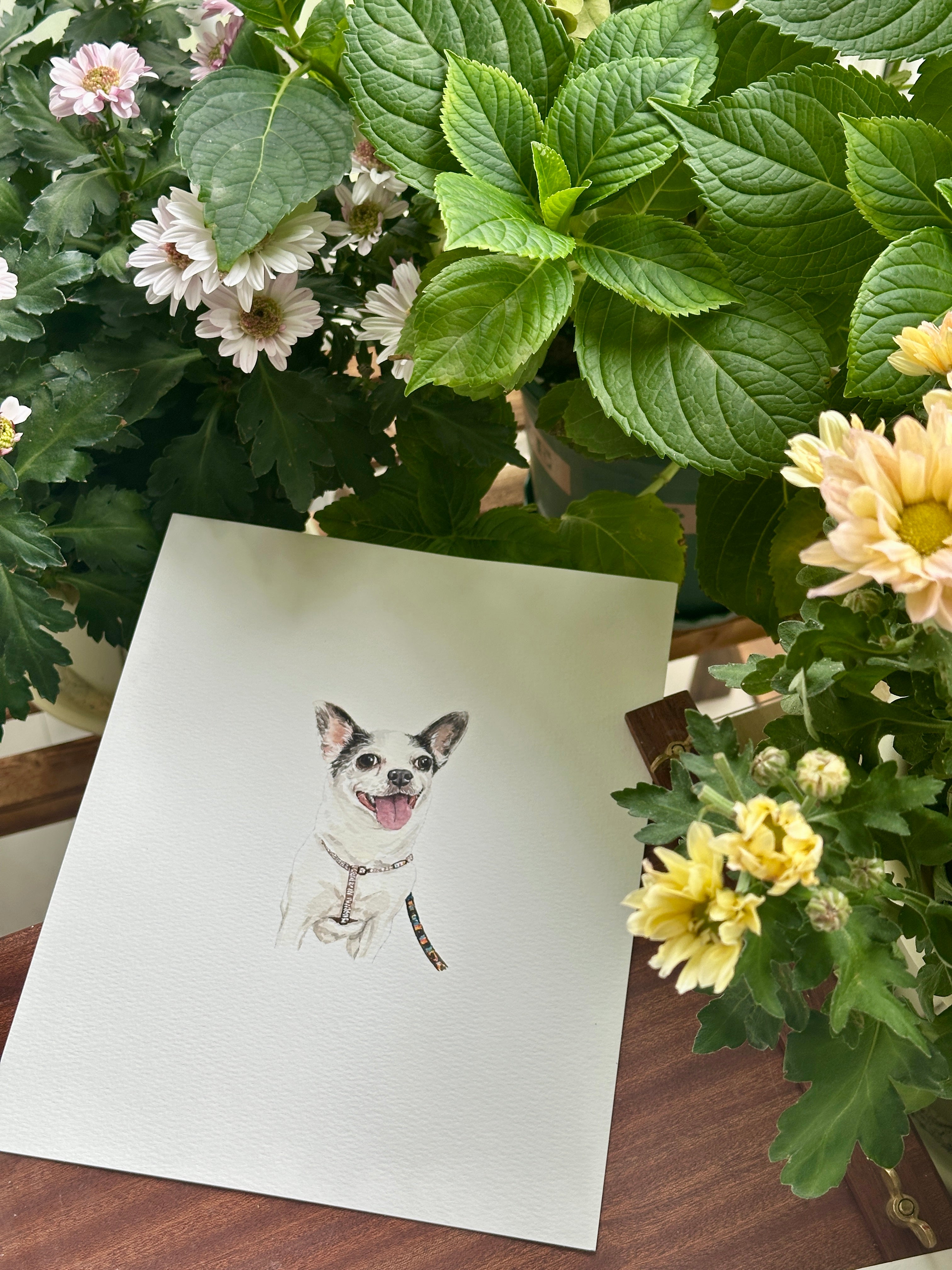 Tiny smiling Chihuahua in a finished watercolor portrait