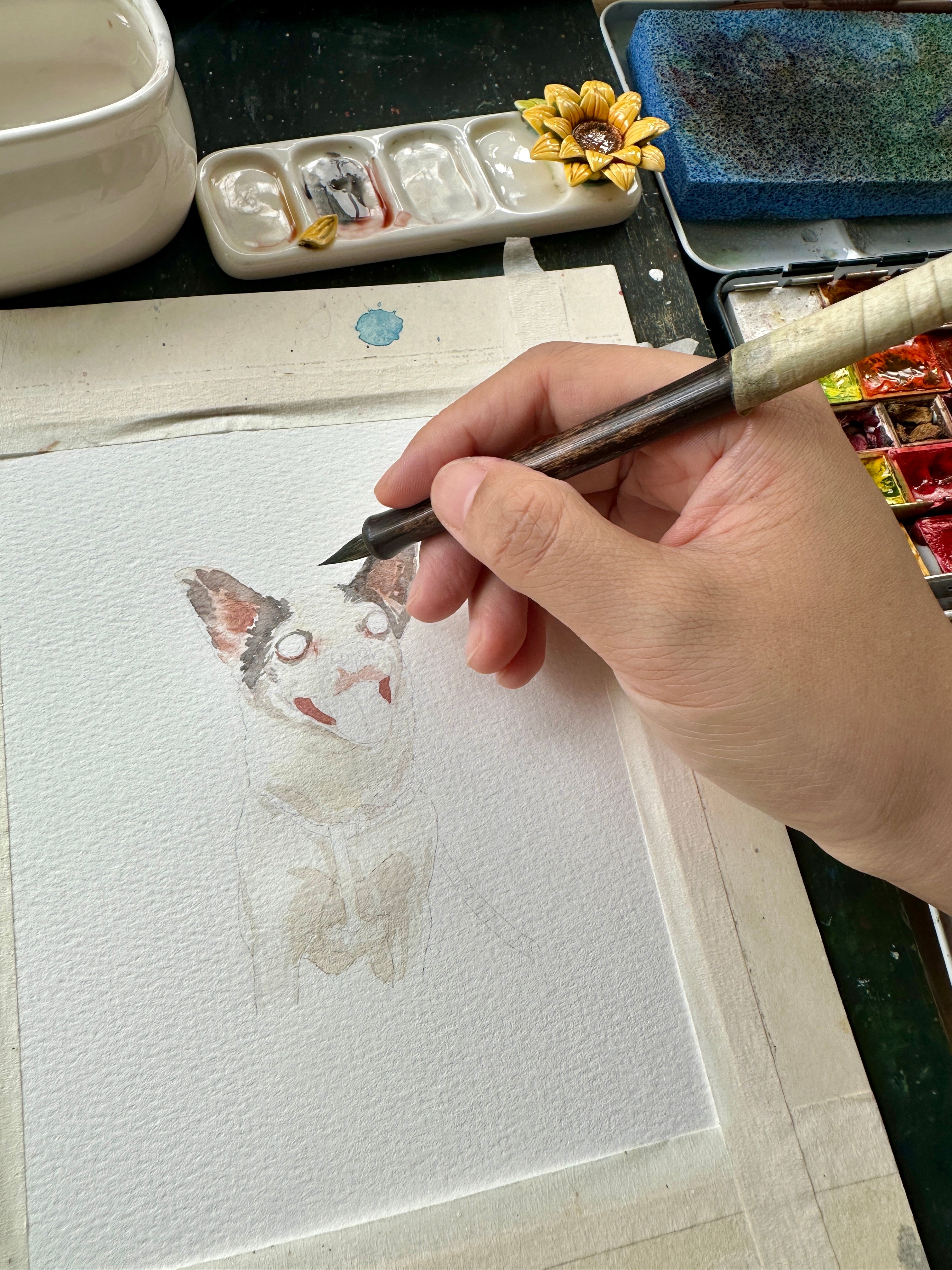 Smiling Chihuahua pet portrait taking shape in watercolor