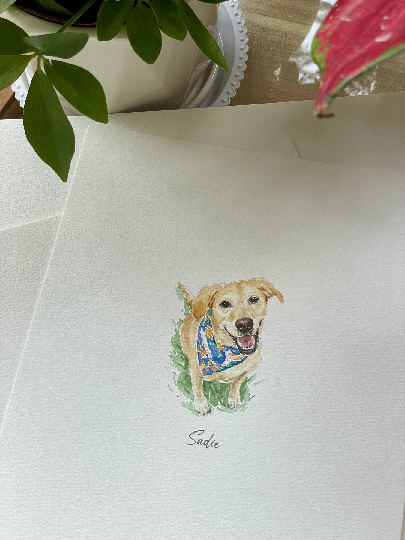Bright-eyed Sadie in a finished watercolor pet portrait
