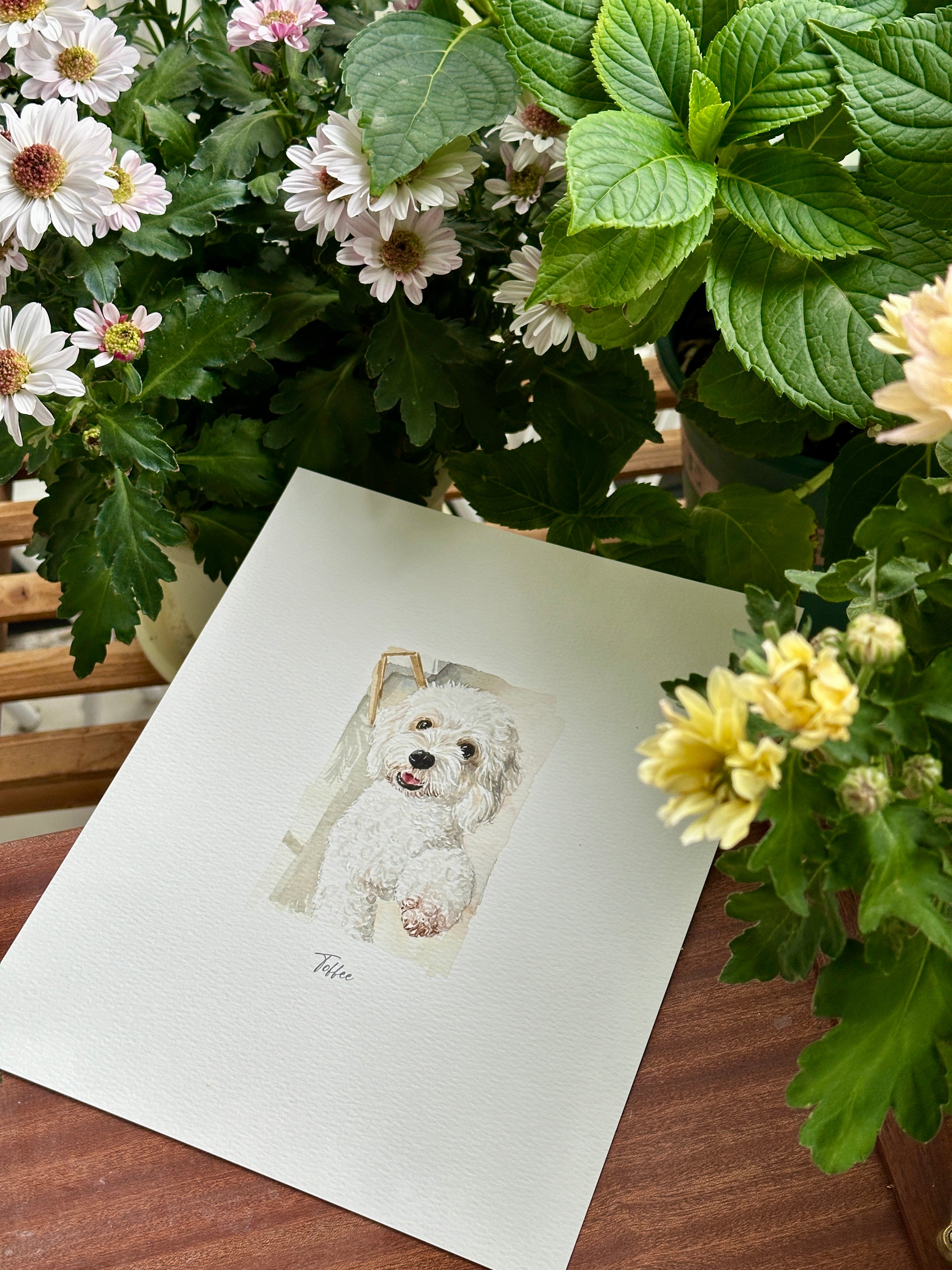 Cheerful Toffee custom watercolor dog portrait