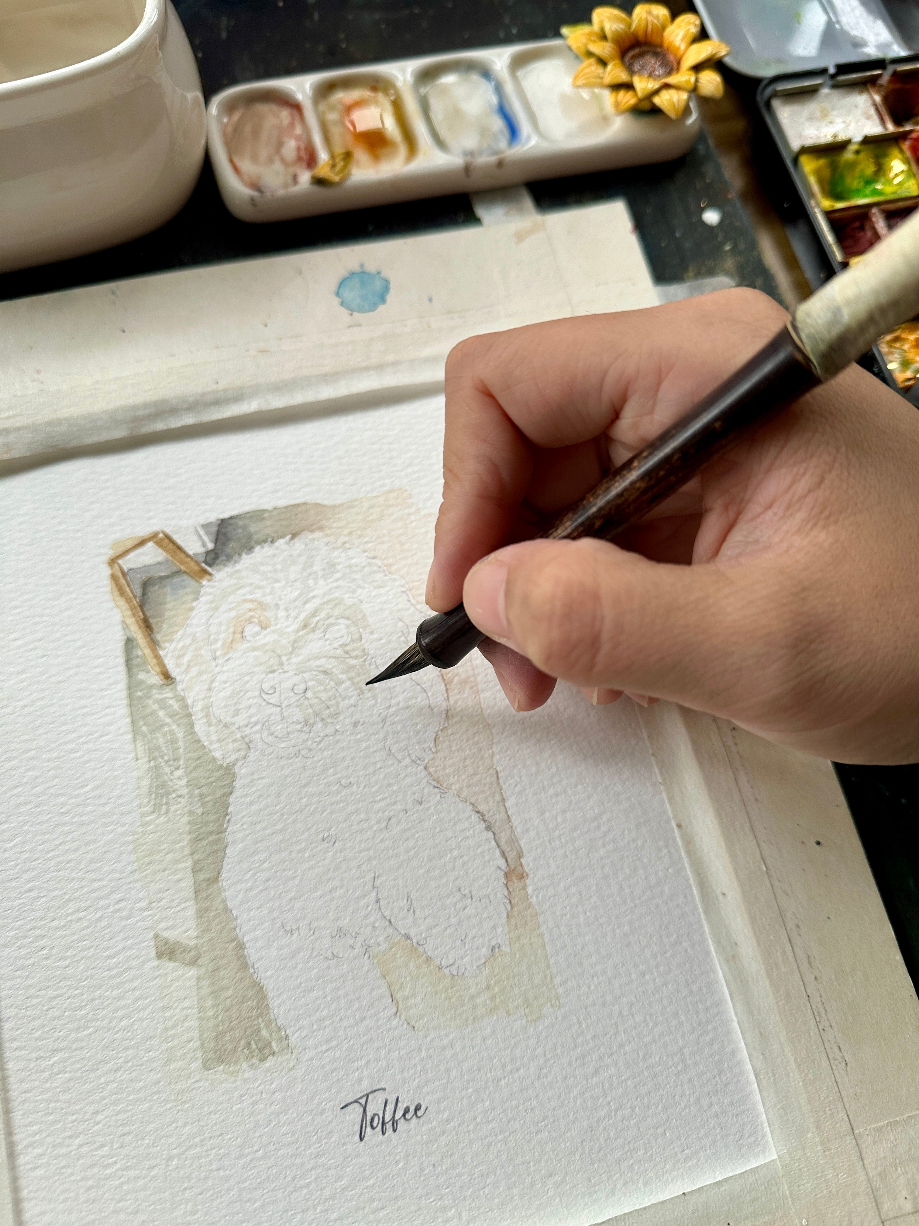 Artist painting Toffee's curly coat in watercolor